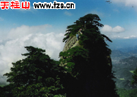 點(diǎn)擊看全圖